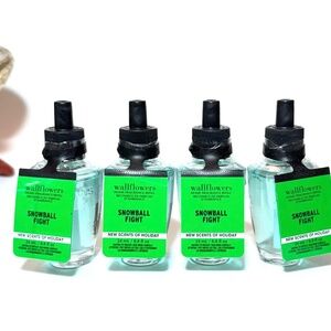 SNOWBALL FIGHT Wallflowers